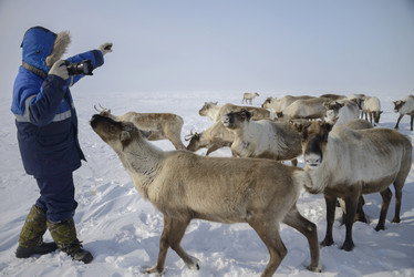 Similar image 15915361