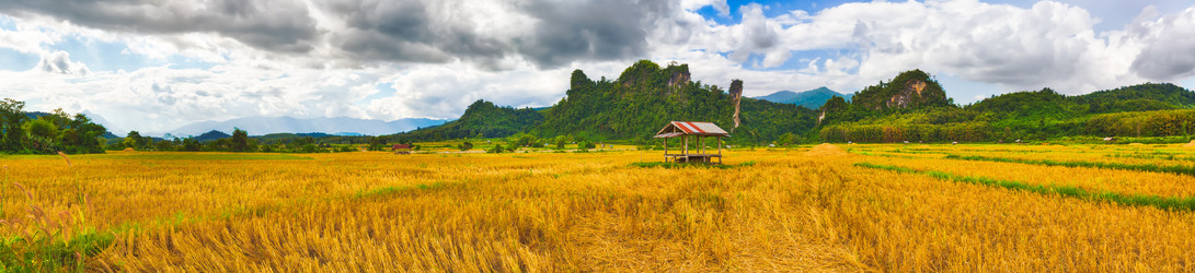 Similar image 15925336