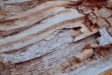 Similar image 15915666