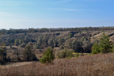 Similar image 15915707