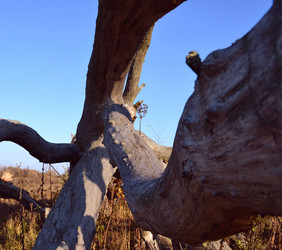 Similar image 15915713