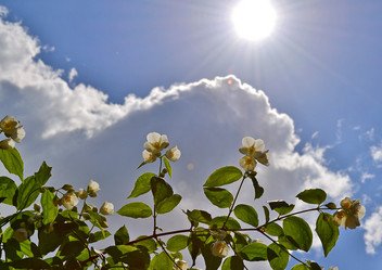 Similar image 15915669