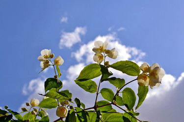 Similar image 15915671