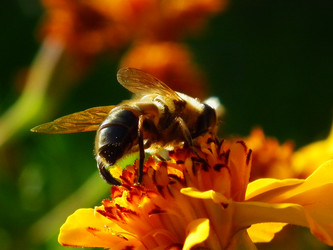 Similar image 15925470