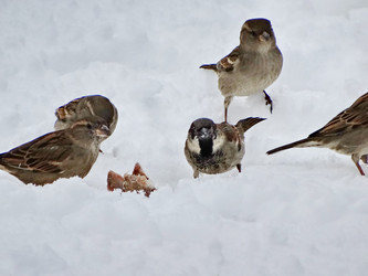 Similar image 15925473