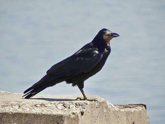 Similar image 15925475