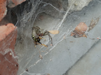 Similar image 15925388