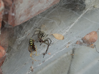 Similar image 15925389