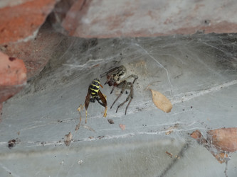 Similar image 15925390