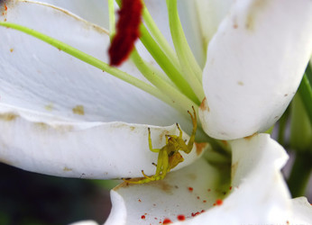 Similar image 15925391