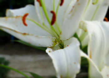 Similar image 15925392