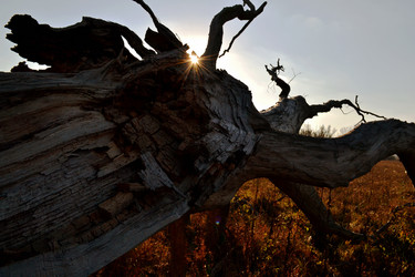 Similar image 15915679