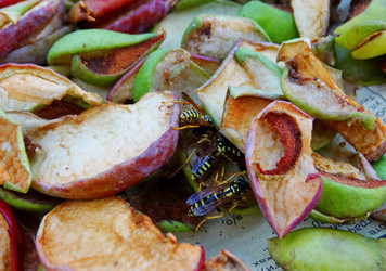 Similar image 15925395