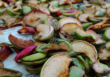 Similar image 15925396