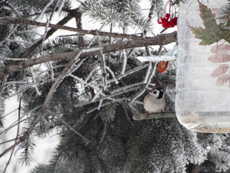 Similar image 15925397