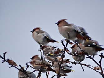 Similar image 15925398