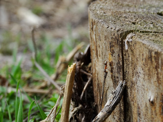 Similar image 15925399