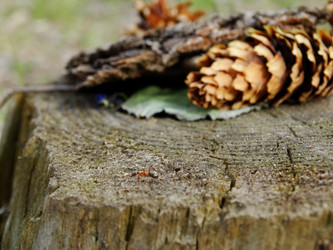 Similar image 15925418