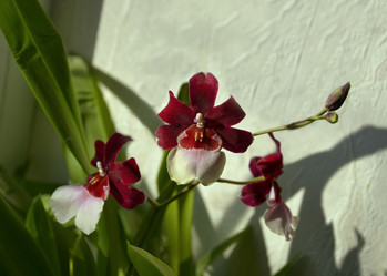 Similar image 15918606