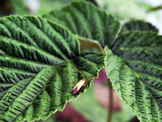 Similar image 15925421