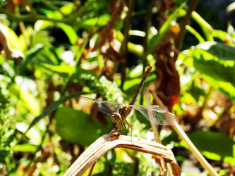 Similar image 15925425