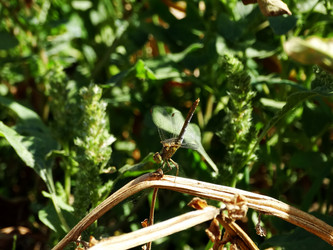 Similar image 15925427