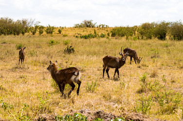 Similar image 15916262