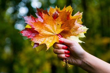 Similar image 15918792