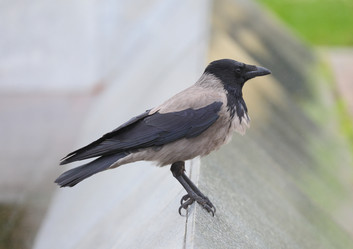 Similar image 15923117