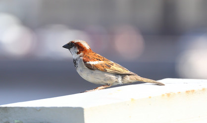 Similar image 15916574