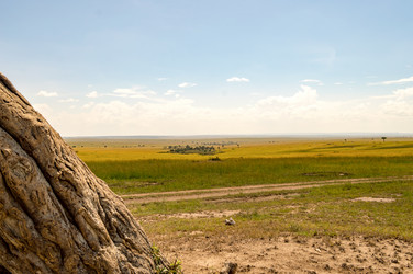 Similar image 15916221