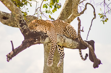 Similar image 15916248