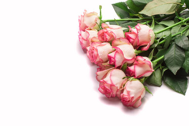 Similar image 16021037