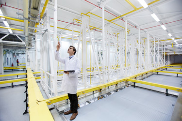 Similar image 16572536