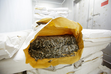 Similar image 16572570