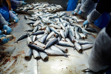 Similar image 16572632