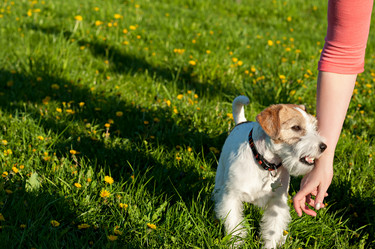 Similar image 15919245