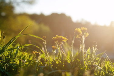 Similar image 15918958