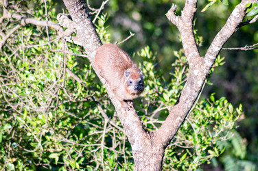 Similar image 15918589