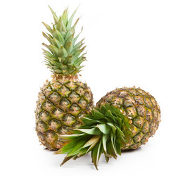 Similar image 15919083