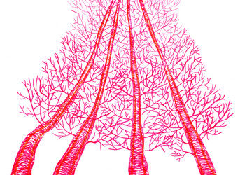 Similar image 15922761