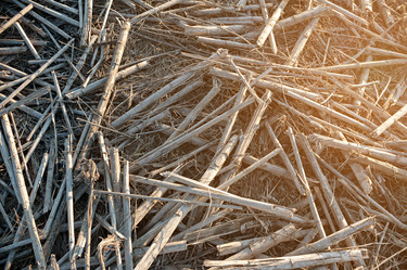 Similar image 15919171