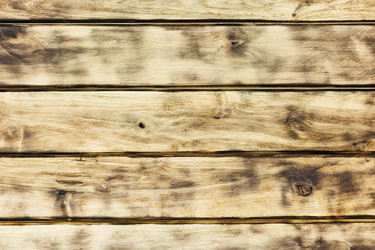 Similar image 15925675