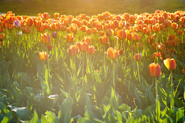 Similar image 15919194