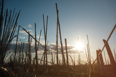 Similar image 15919195