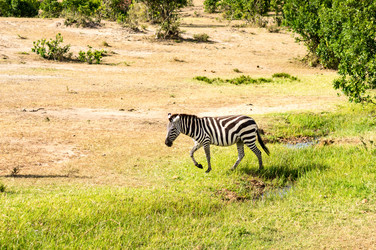 Similar image 15922764