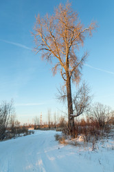 Similar image 15923474