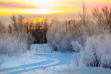 Similar image 15923538