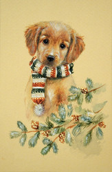 Similar image 15923187