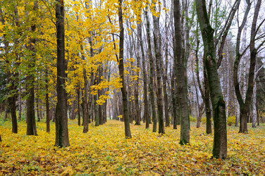 Similar image 15927450